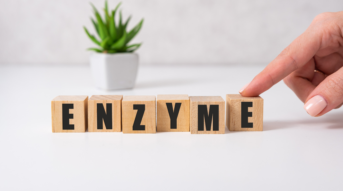 Serrapeptase vs. Bromelain: Which Enzyme Is Right for You?