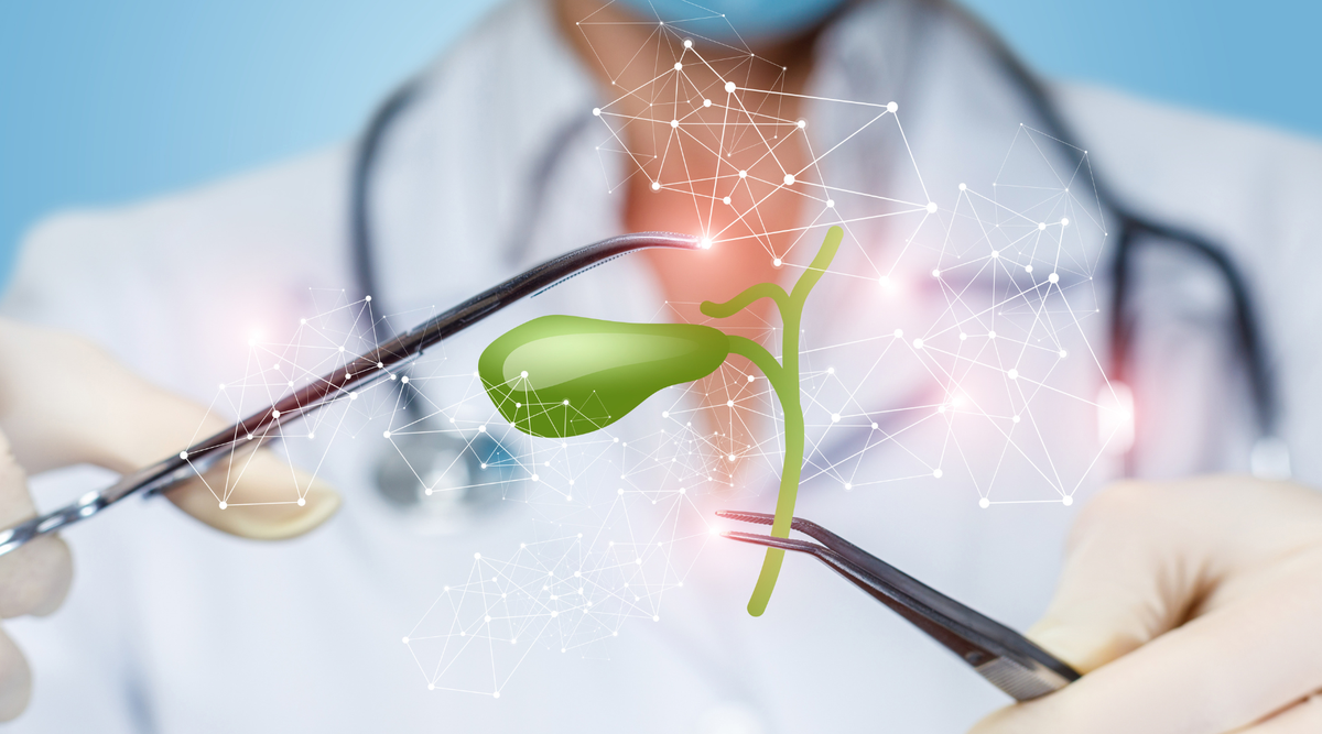 Ox Bile After Gallbladder Removal: What You Need to Know