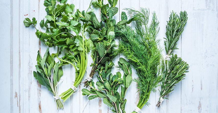 Put Some Spring in Your Step with These Cleansing Herbs