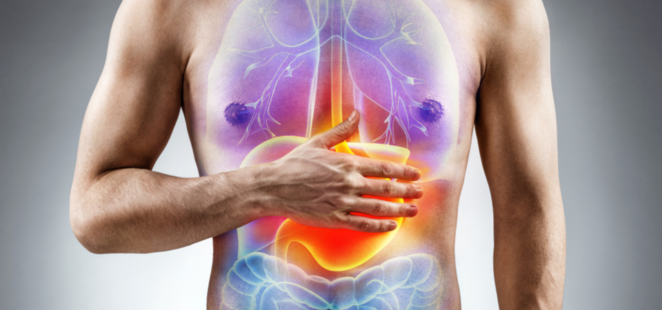 digestive enzymes for weight loss