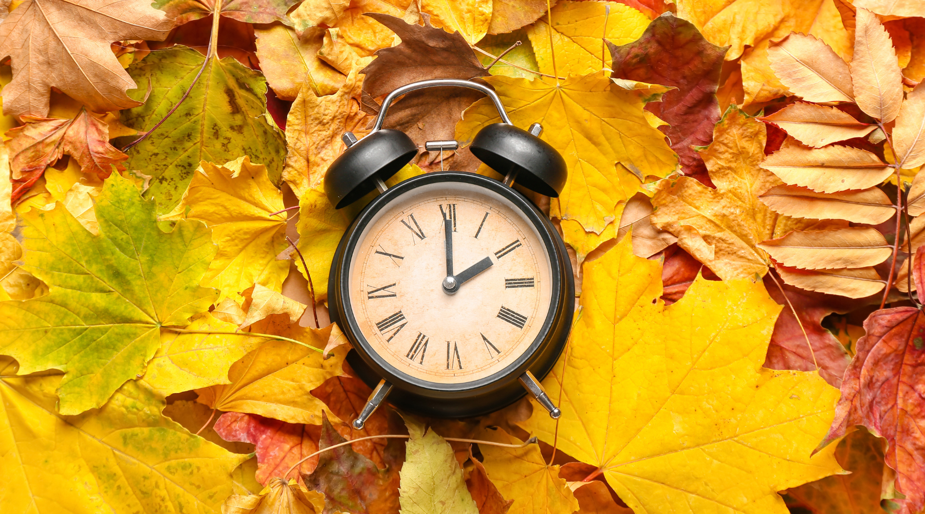 Reset Your Rhythm: 5 Ways to Feel Better After the Time Change