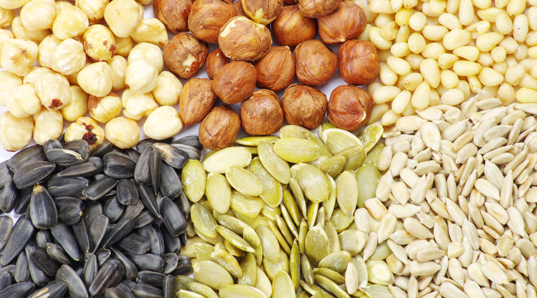 Seed Cycling: Can Eating Seeds Support Hormone Balance?