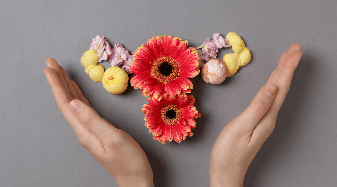 Hormone Balance for Women: Supplements and Daily Habits That Help