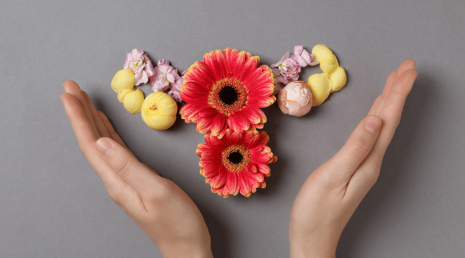 Hormone Balance for Women: Supplements and Daily Habits That Help