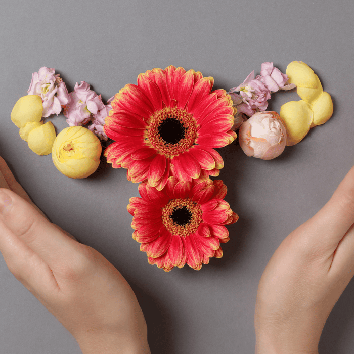 Hormone Balance for Women: Supplements and Daily Habits That Help