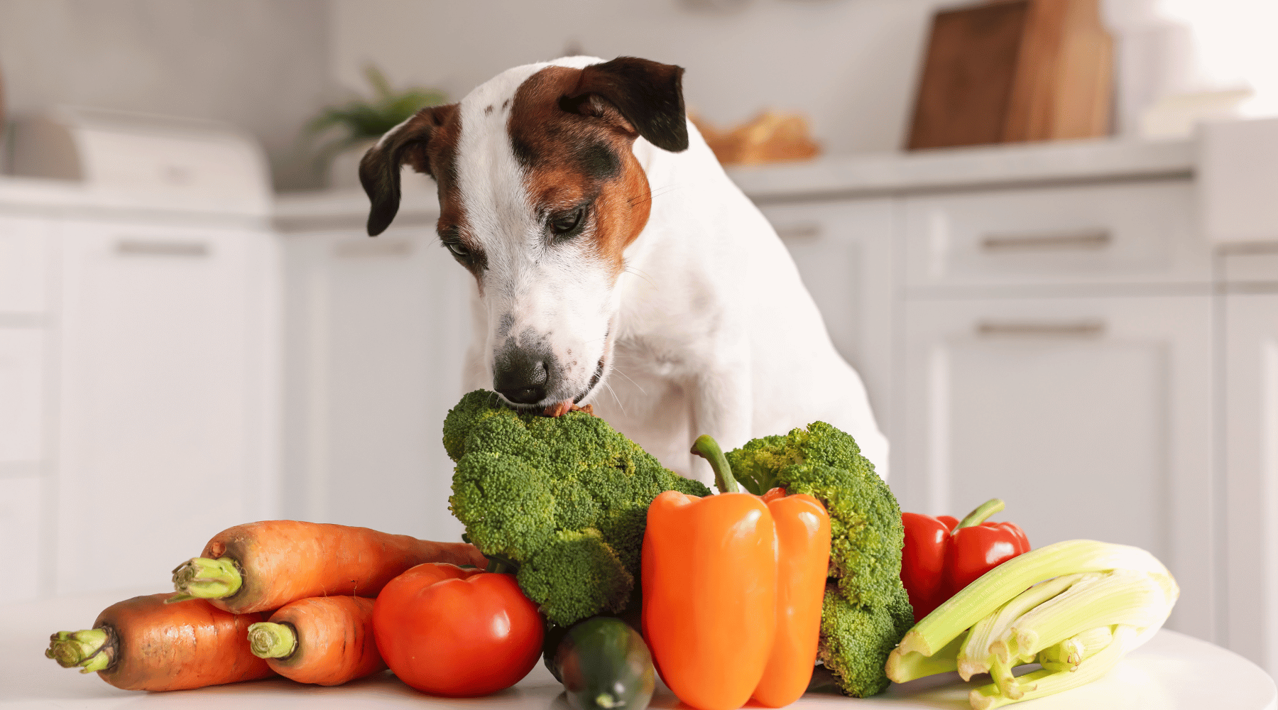 Parasites in Food: How They Get In and How to Protect Yourself