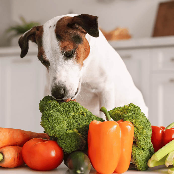 Parasites in Food: How They Get In and How to Protect Yourself