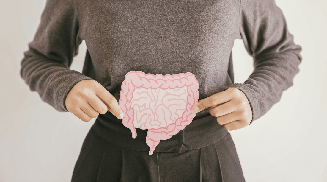 Leaky Gut: Symptoms, Causes, and How to Support Your Gut Lining