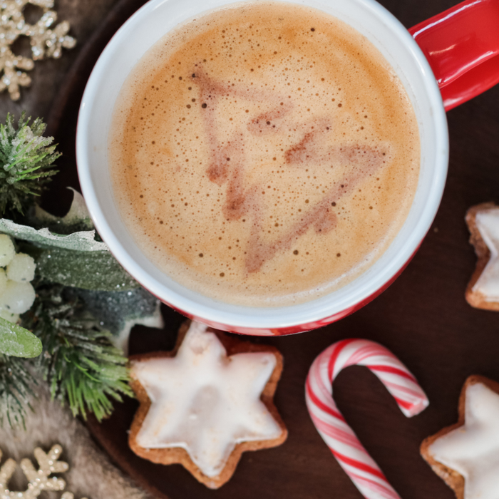 5 Healthy Holiday Recipes Featuring Our Most-Loved Formulas