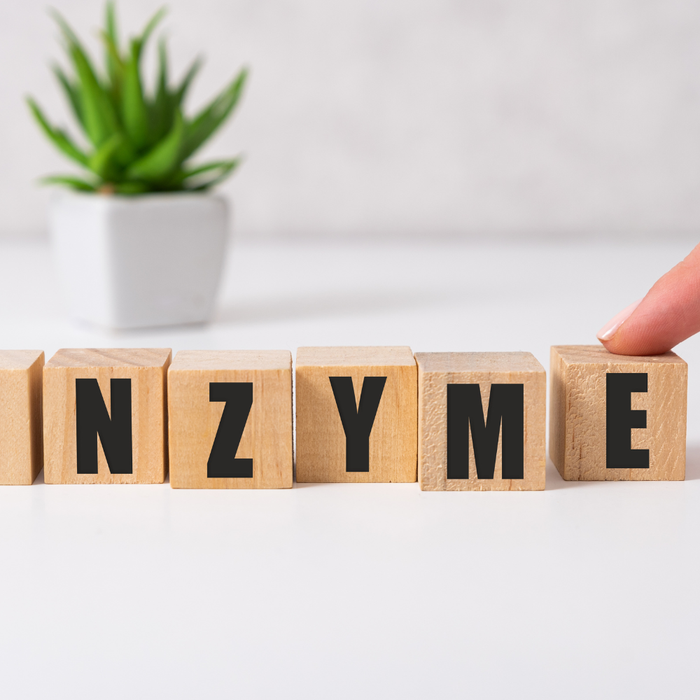 Serrapeptase vs. Bromelain: Which Enzyme Is Right for You?