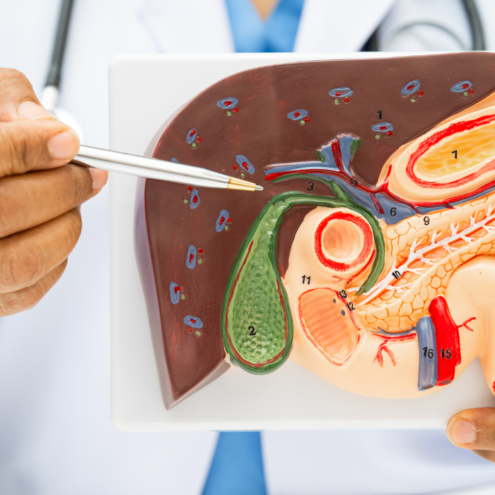 Life After Gallbladder Removal: How to Keep Digestion Smooth