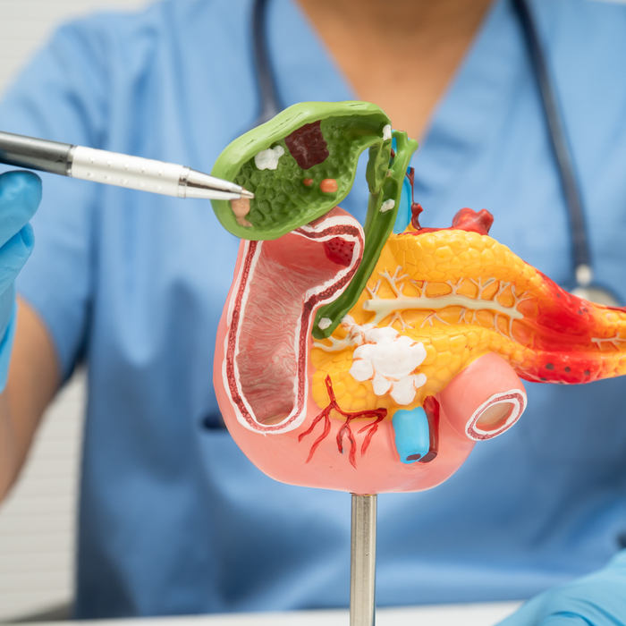 The Science of Bile: How Bile Actually Works (and Why It Matters)