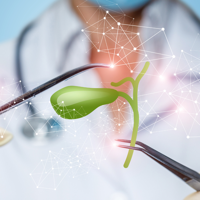 Ox Bile After Gallbladder Removal: What You Need to Know