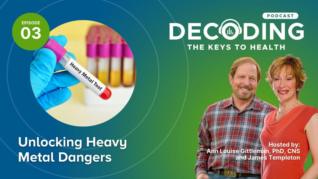 Episode 3: Unlocking Heavy Metal Dangers