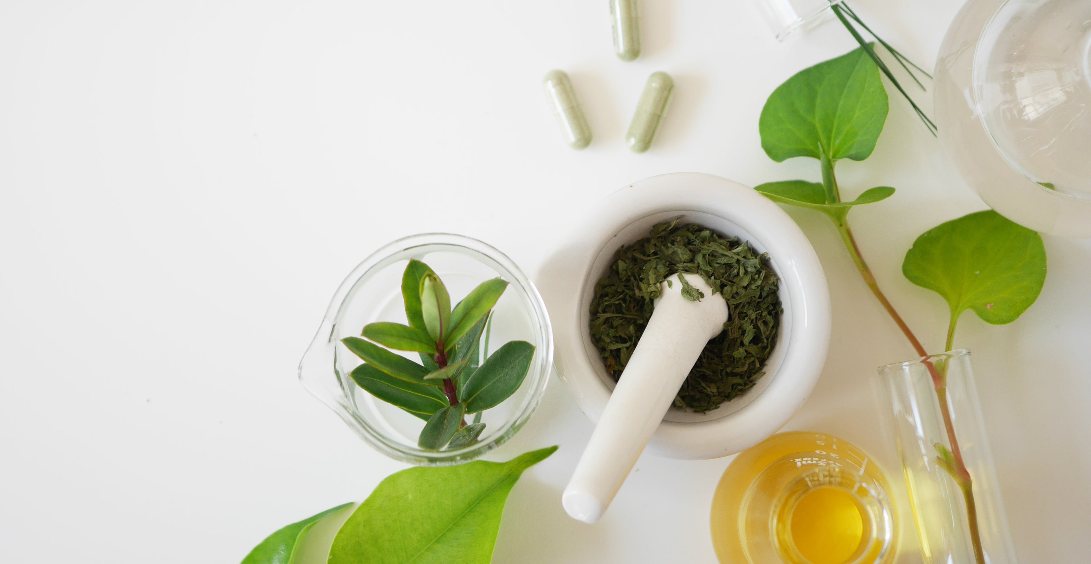 Homeopathy for Candida Yeast Overgrowth – The Candida Cure?