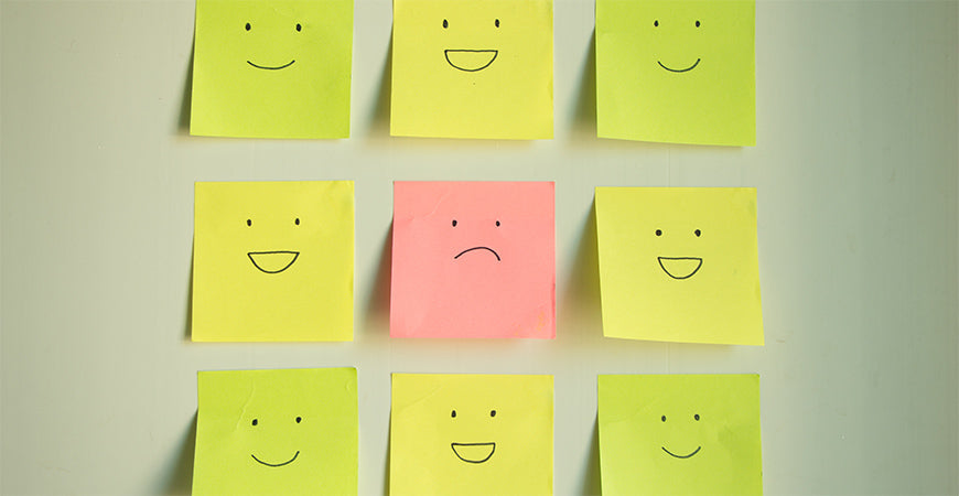 More Than A Gut Feeling: The Gut-Brain Connection