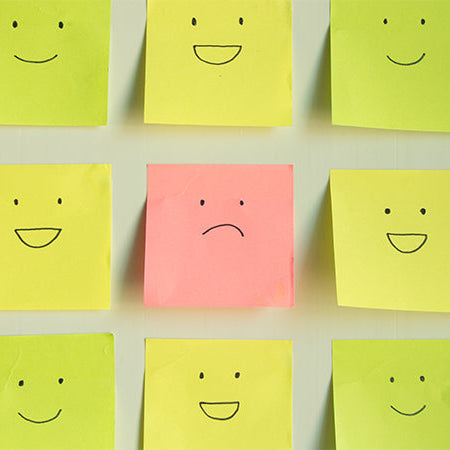 More Than A Gut Feeling: The Gut-Brain Connection