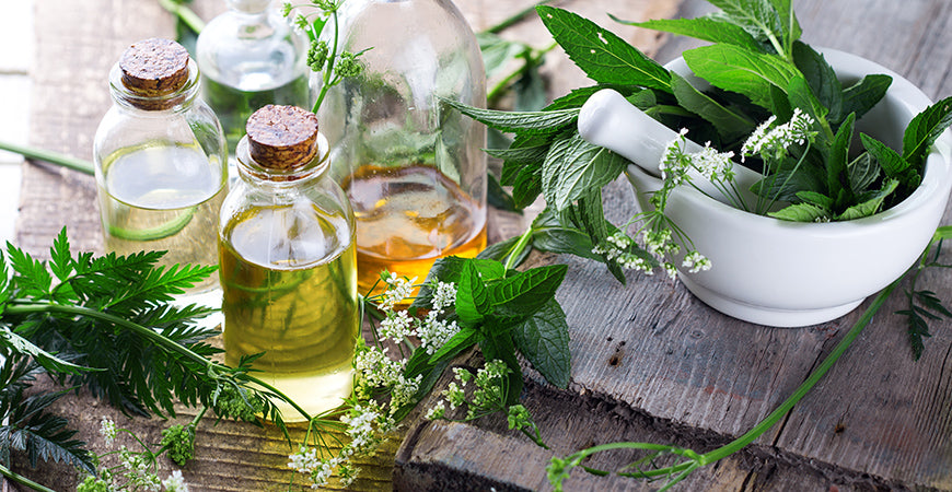Herbal Wisdom for Allergy Relief