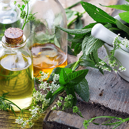 Herbal Wisdom for Allergy Relief