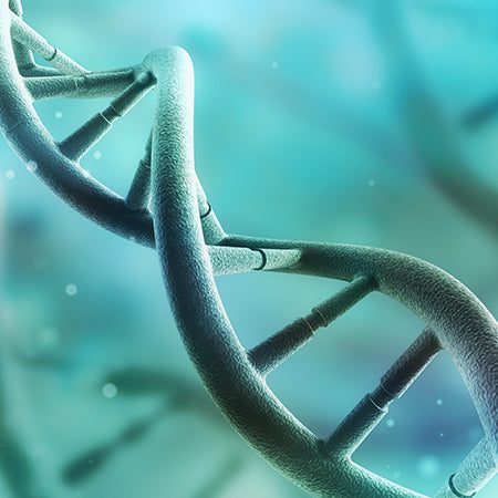MTHFR Gene Mutation: Can You Rewire Your Genetics?