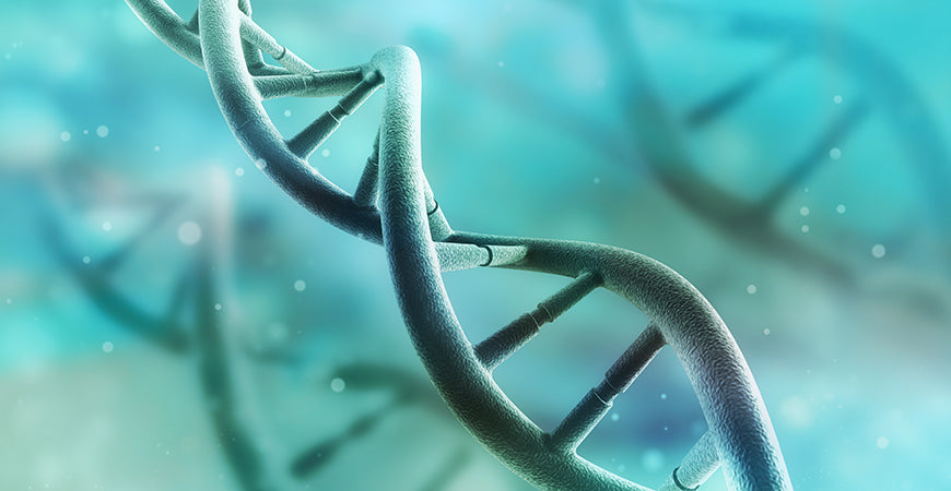 MTHFR Gene Mutation: Can You Rewire Your Genetics?