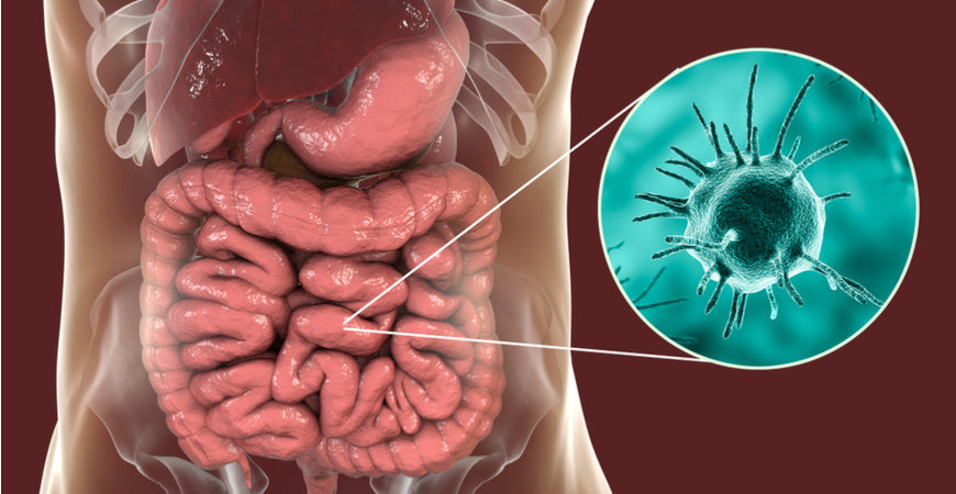 29 Signs of Parasites and What to Do About It
