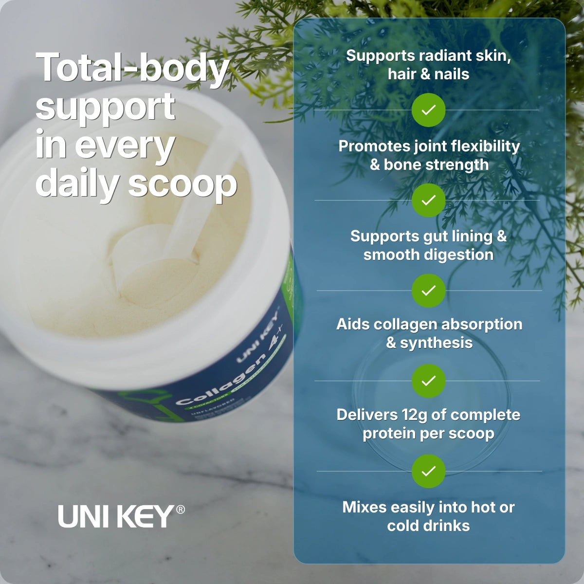 Collagen 4+