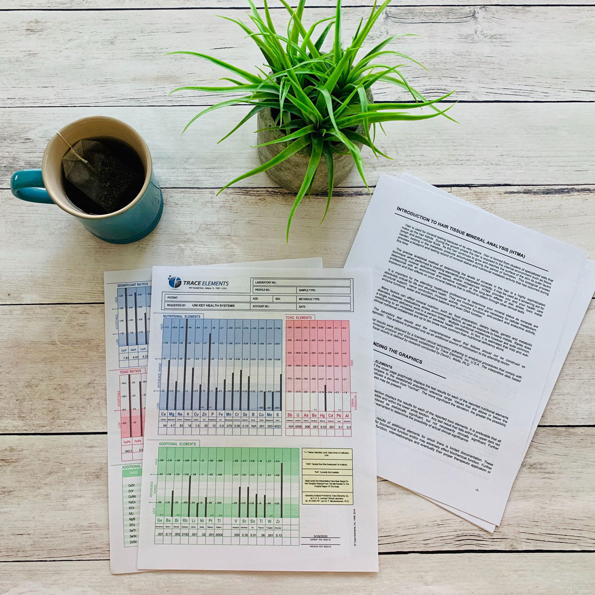 A hair and tissue mineral analysis test kit spread out on a wooden surface with a cup of tea and a small plant.